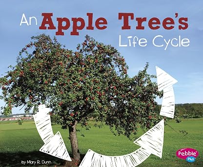 An Apple Trees Life Cycle Explore Life Cycles