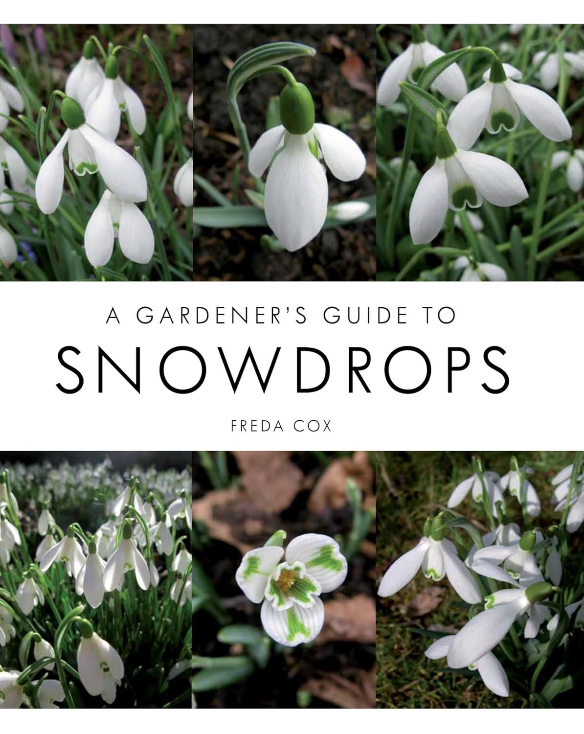 Gardener's Guide to Snowdrops: Second Edition