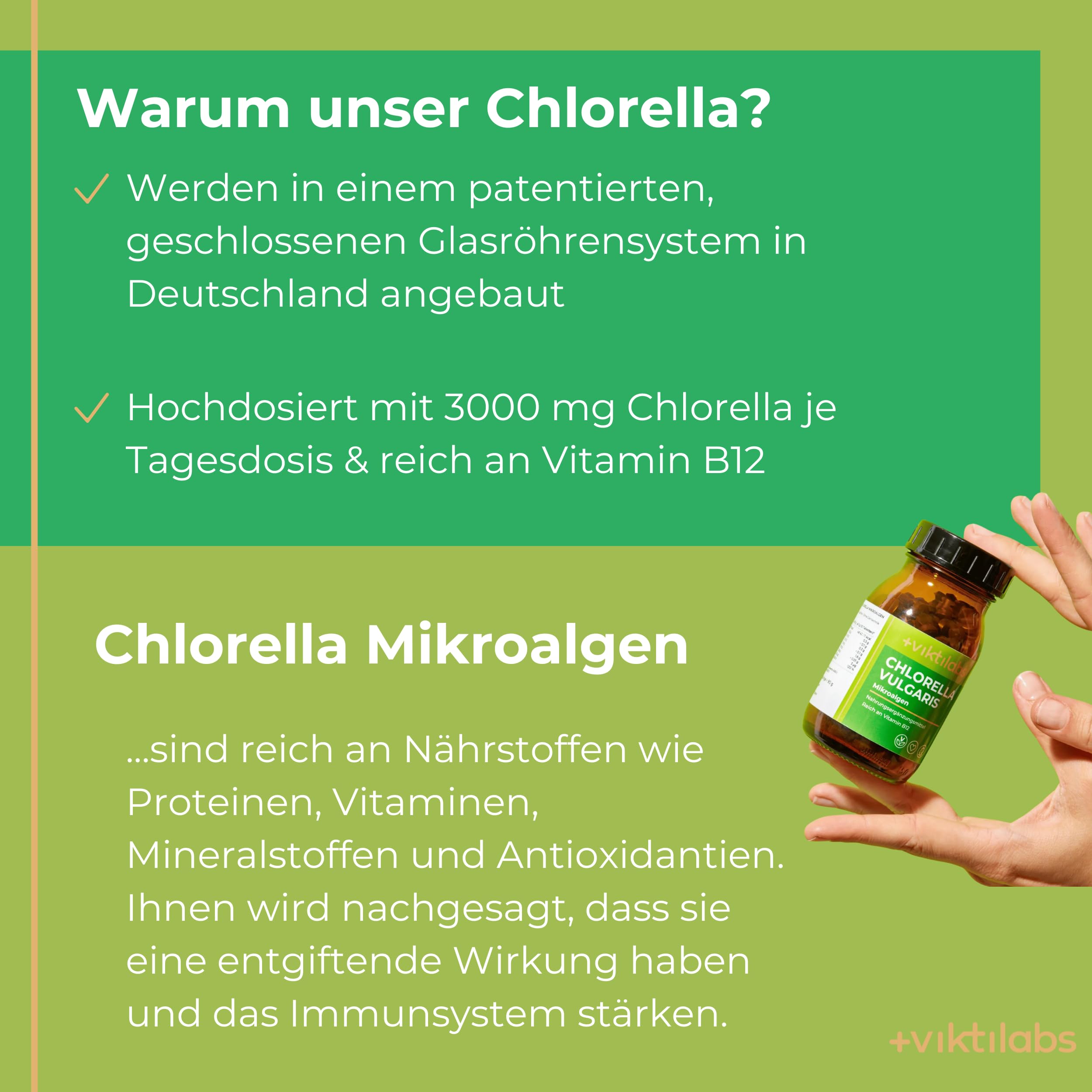 Chlorella Vulgaris - natürliche Mikroalgen - hochdosiert - 300 mg Chlorella pro Pressling - 10 Presslinge pro Tag - 300 vegane - ohne Zusatzstoffe