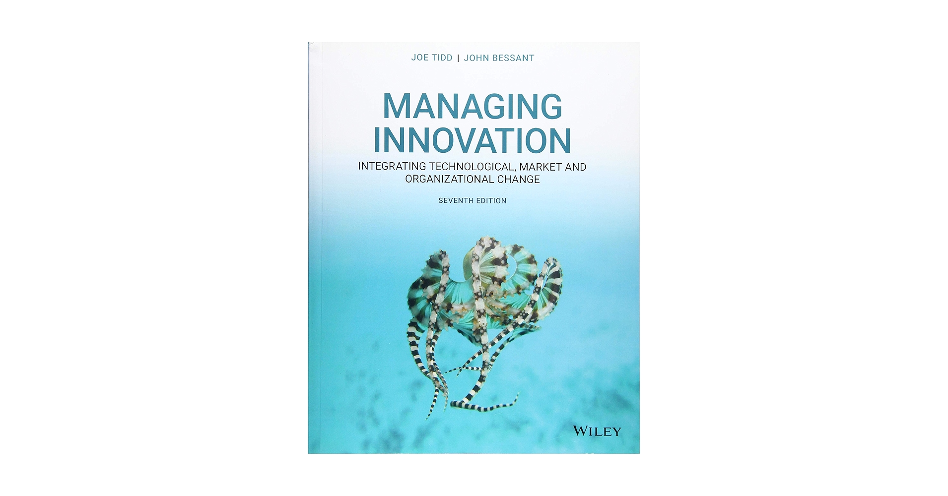 洋書 Innovation and Technology in Europe 洋書 Innovation and Technology in Europe 洋書 Innovation and