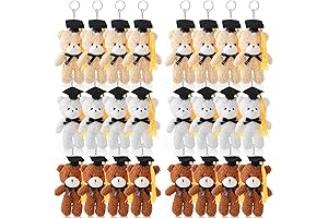 24 Pcs Mini Graduation Bear Plush Gift for Preschool Bulk