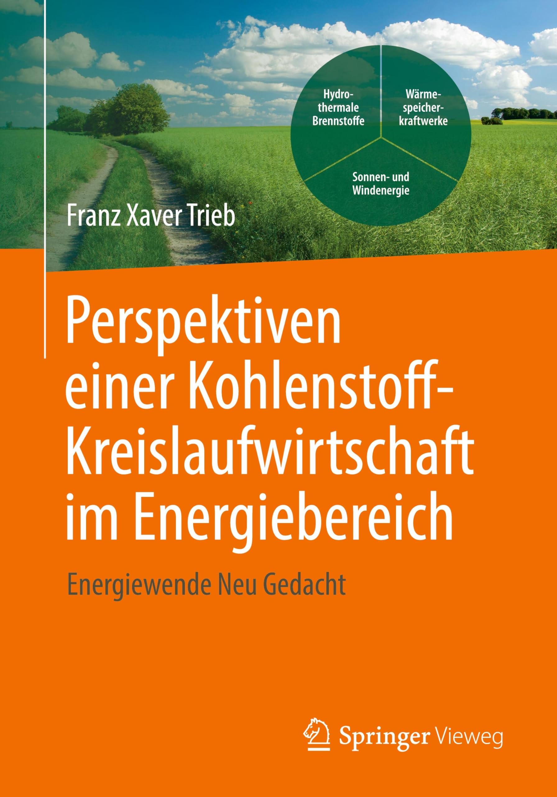 Perspektiven einer Kohlenstoffkreislaufwirtschaft im Energiebereich: Energiewende Neu Gedacht