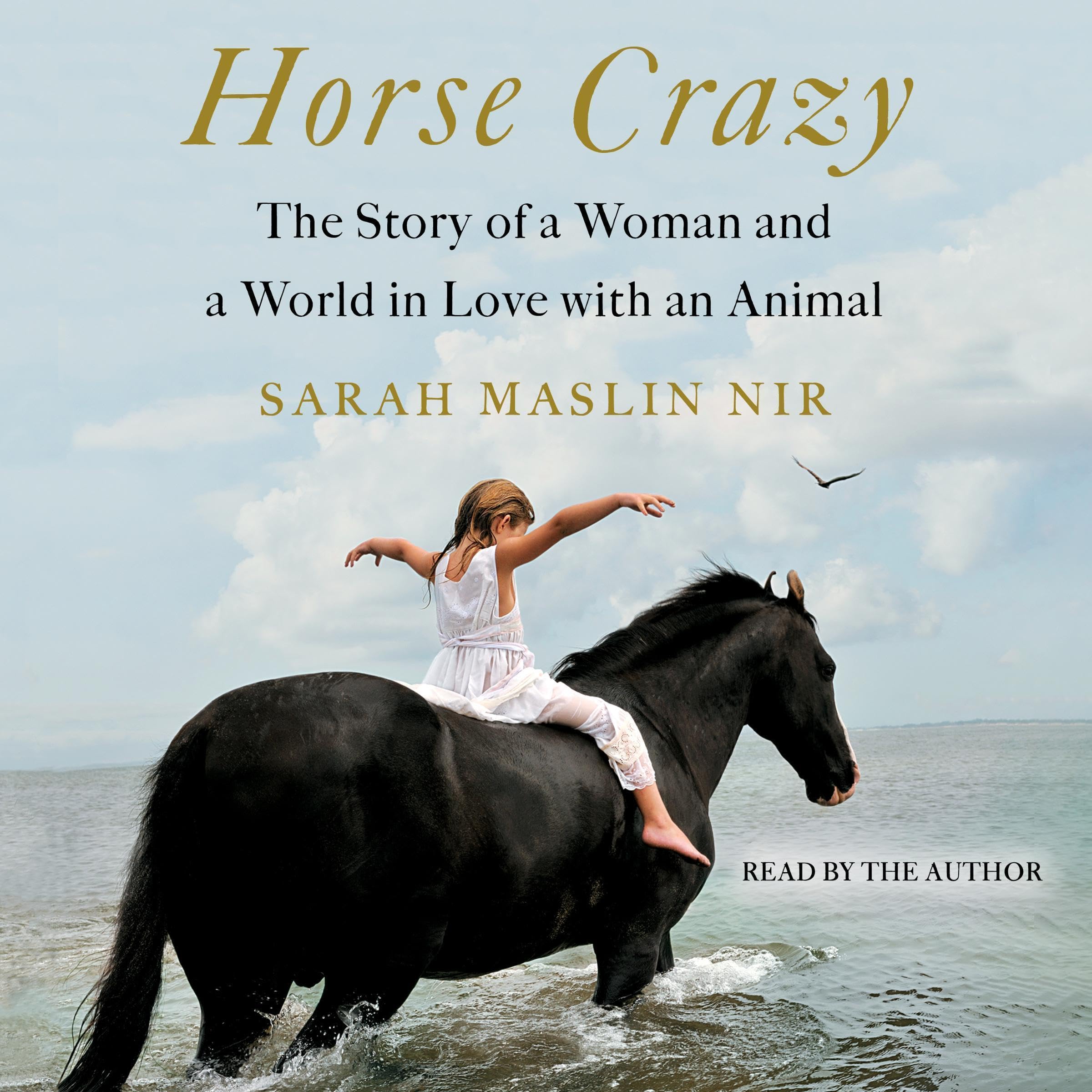 Cover art for Horse Crazy