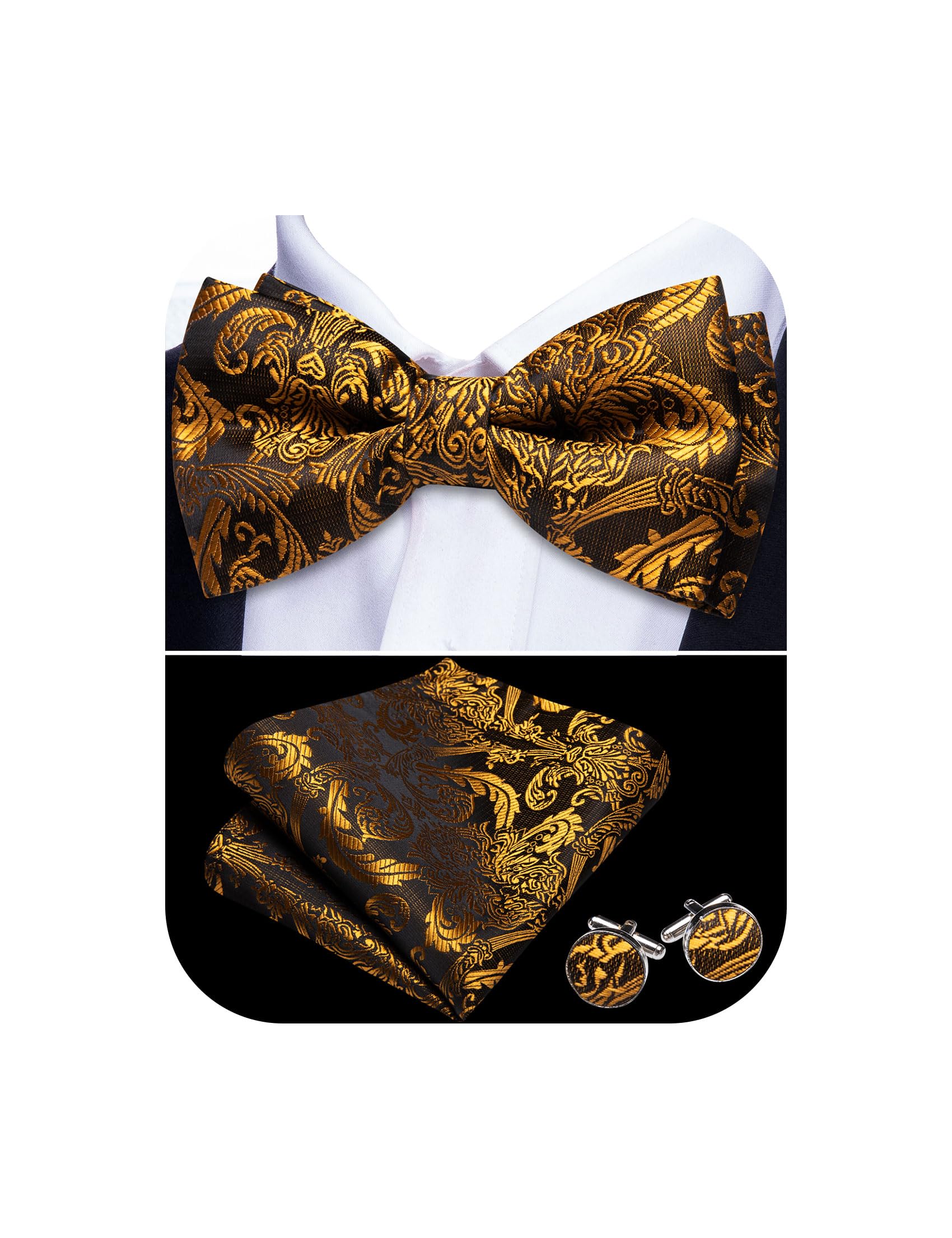 Barry.Wang Paisley Striped Bow Tie for Men Silk Pre-Tied Bowtie Set