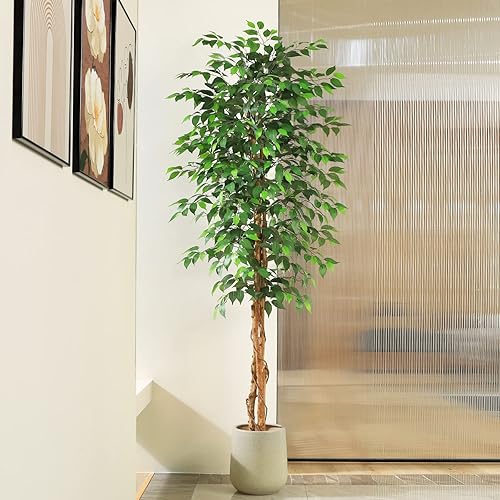 Miniatura 2 de SOGUYI Árbol de ficus artificial de 7 pies con tronco de madera natural, árbol de ficus falso de seda en maceta de plástico para guardería, planta