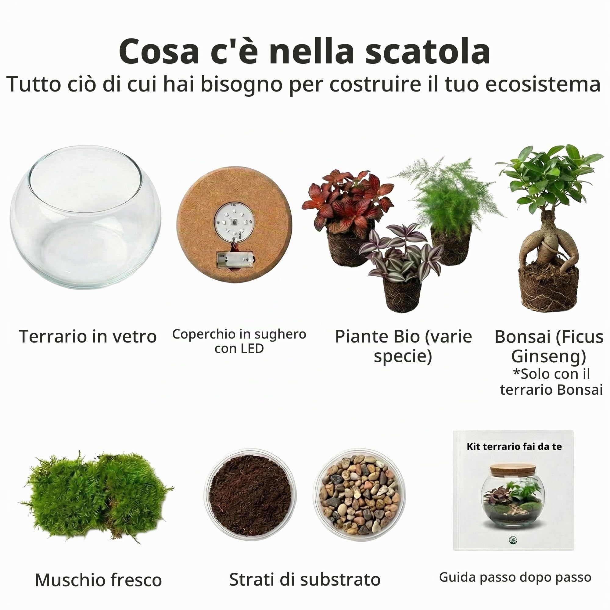 vdvelde.com - Bonsai Terrarium Biodome - Ecoworld giardino in bottiglia con bonsai e mini piante in vetro - piante terrario vetro Ø 25 cm ↥ 28 cm - Mini ecosistema con luce