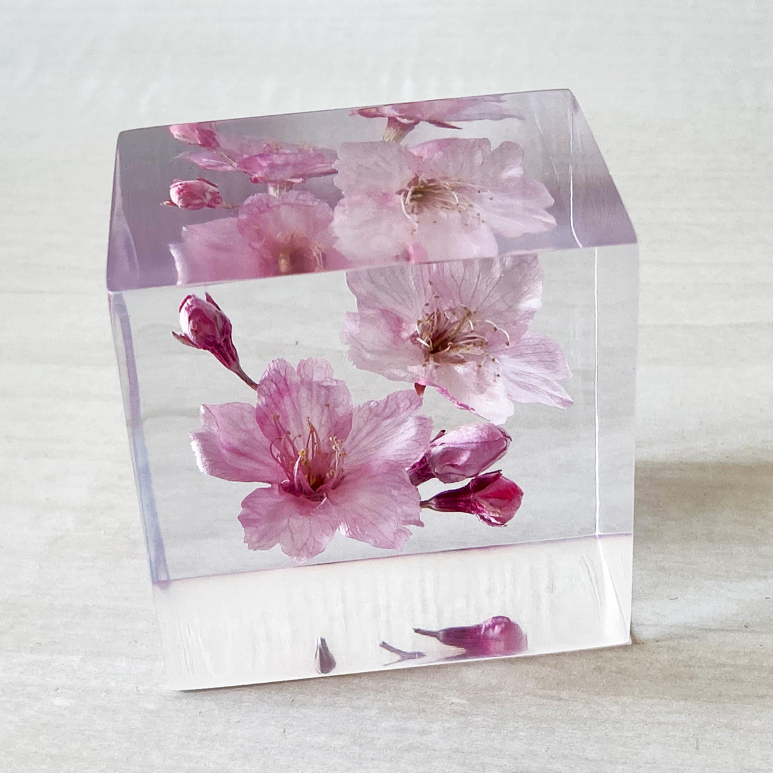 Amazon｜[フェリナス] 桜 ハーバリウム クリスタルフラワー プレゼント