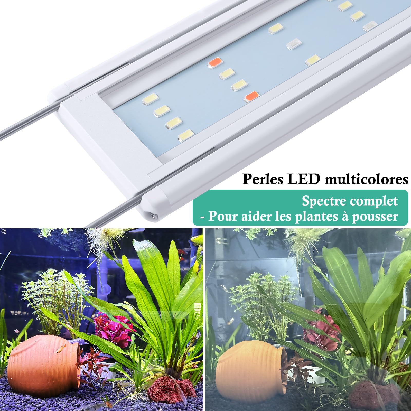 Rampe LED Aquarium à Spectre Complet, 30-60cm Lumière Classique pour Aquarium avec Minuterie, Lumière pour Plantes Aquariums avec Supports Extensibles Stables (60-80cm)