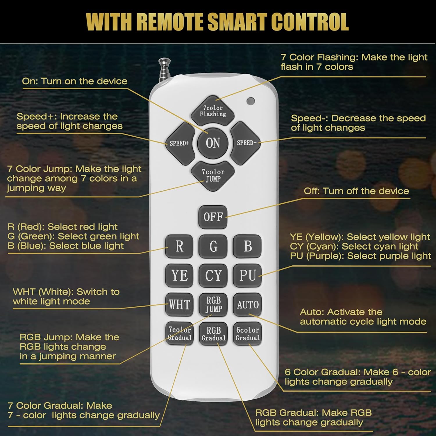 Goldlife 10Inch Large Pool Light for Wet Niches, AC12V 60W 6000LM LED Multicolor Inground Pool Lights with 50 Foot Cord for Swimming Pools, Remote Control