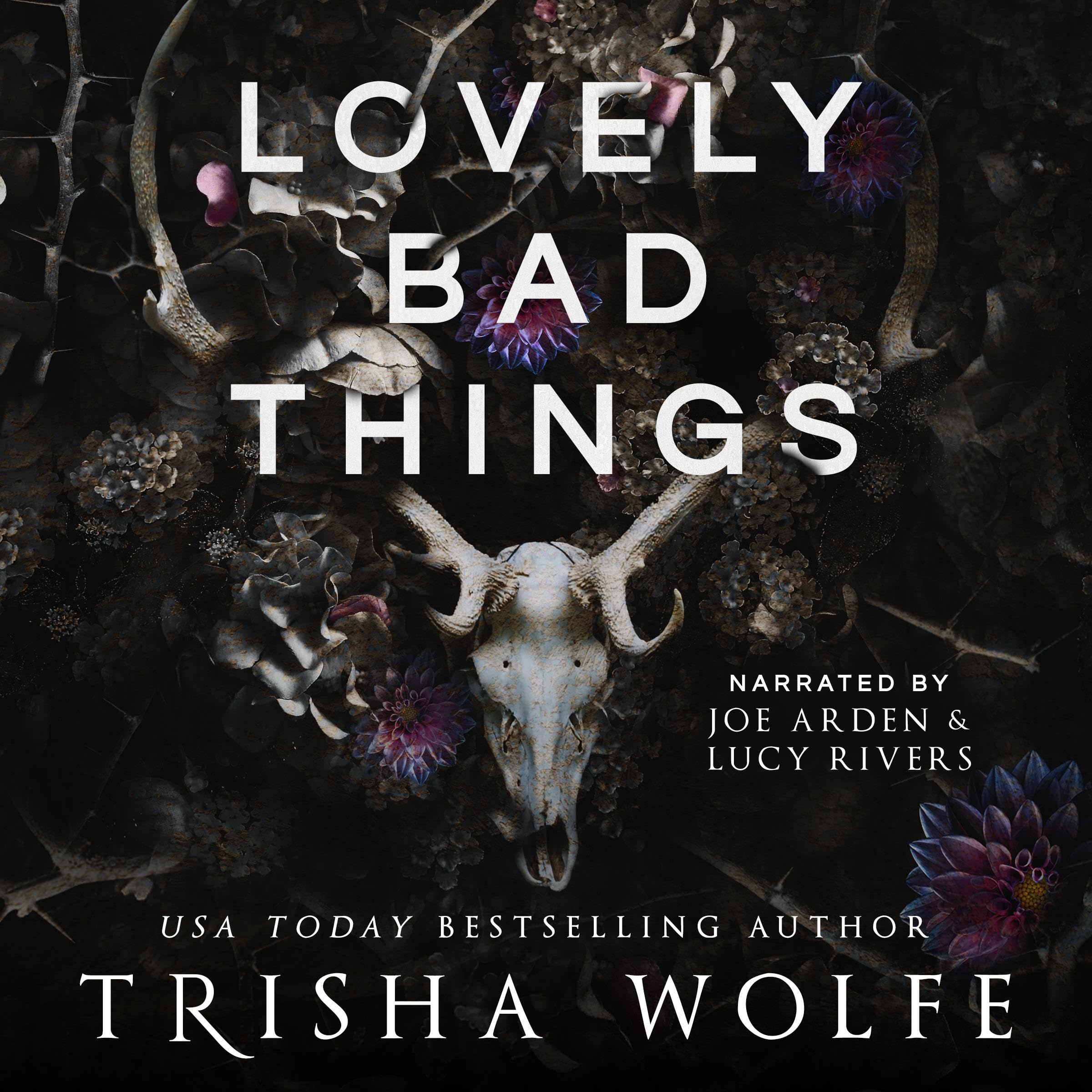 Cover art for Lovely Bad Things
