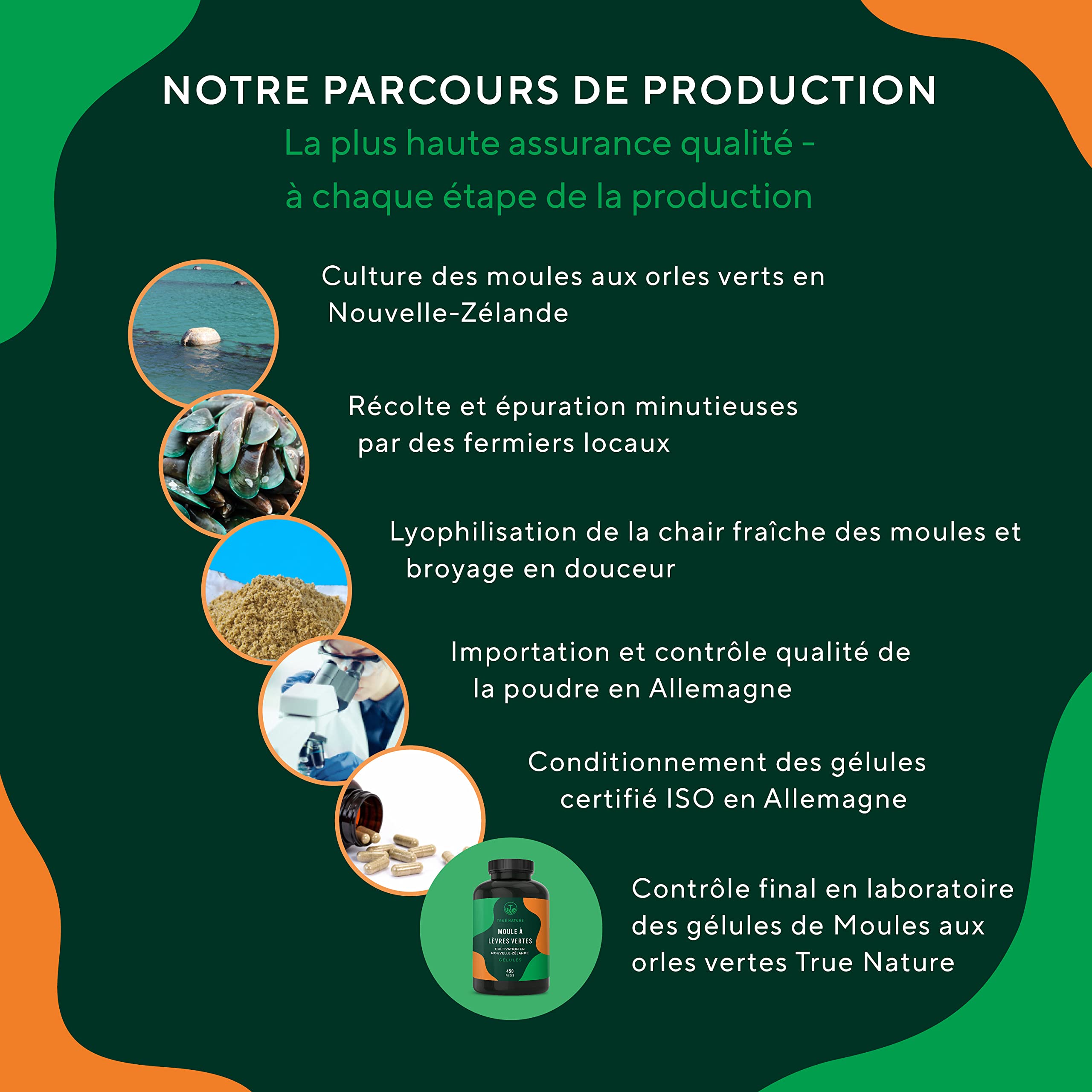 Moule Verte de Nouvelle Zelande - 2.000mg - Articulations & Cartilage Sains, Anti-Inflammatoire - 450 Gélules - Poudre de Moule Verte en capsules - SANS: Additifs, Gluten & Lactose - TRUE NATURE