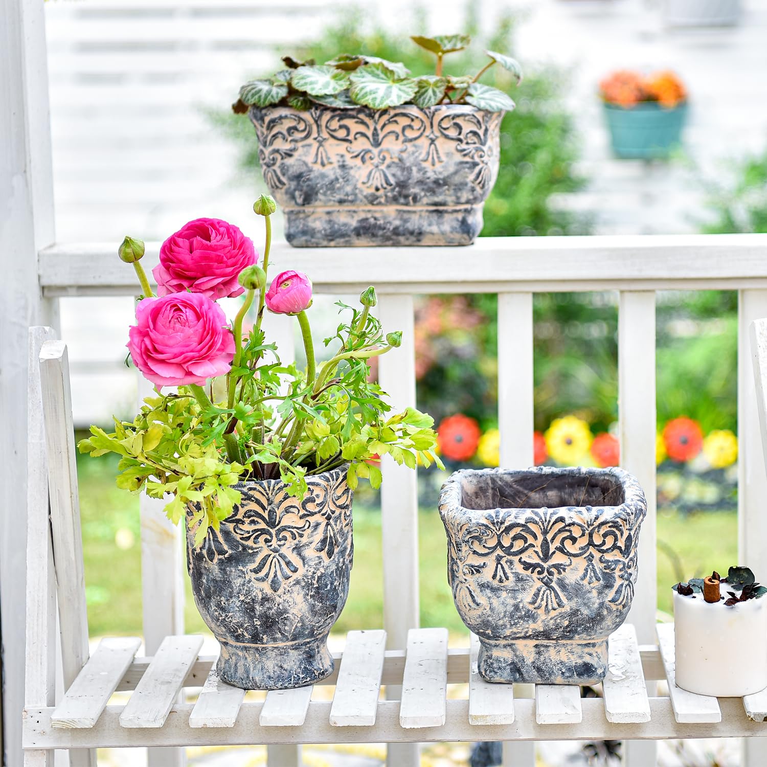 welche blumen fr blumenkasten im schatten Balkonblumen "Bltentraum im Schatten" kaufen  Mein schner Garten Shop