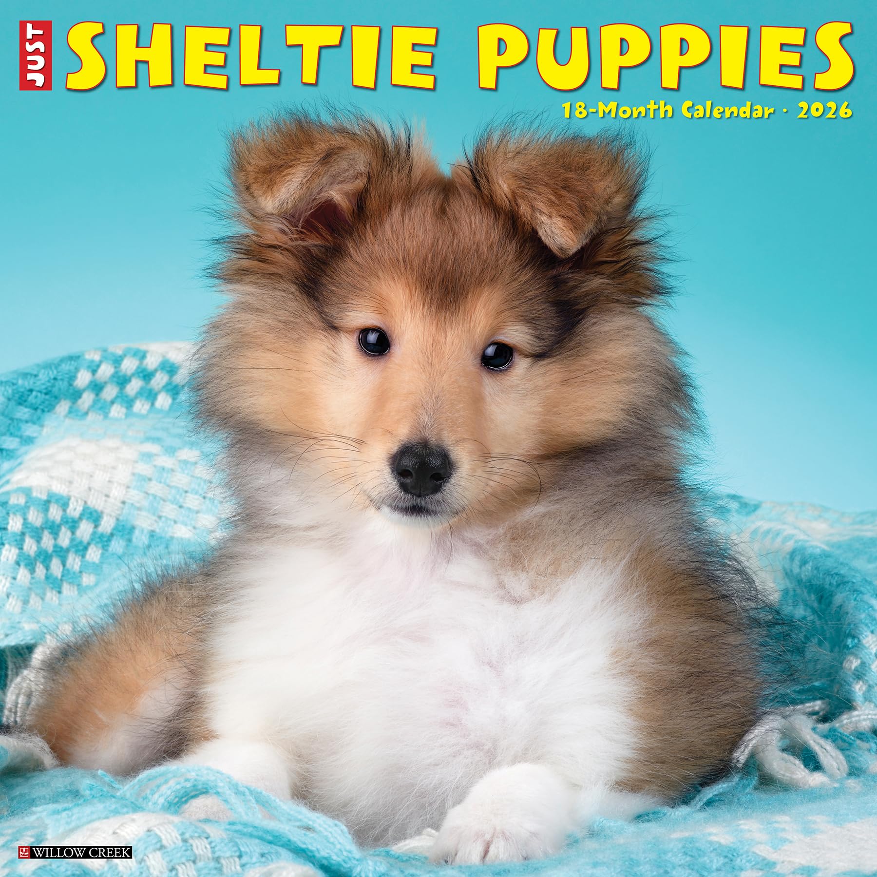 Sheltie Puppies 2026 12 X 12 Wall Calendar CALENDAR 9781549252754