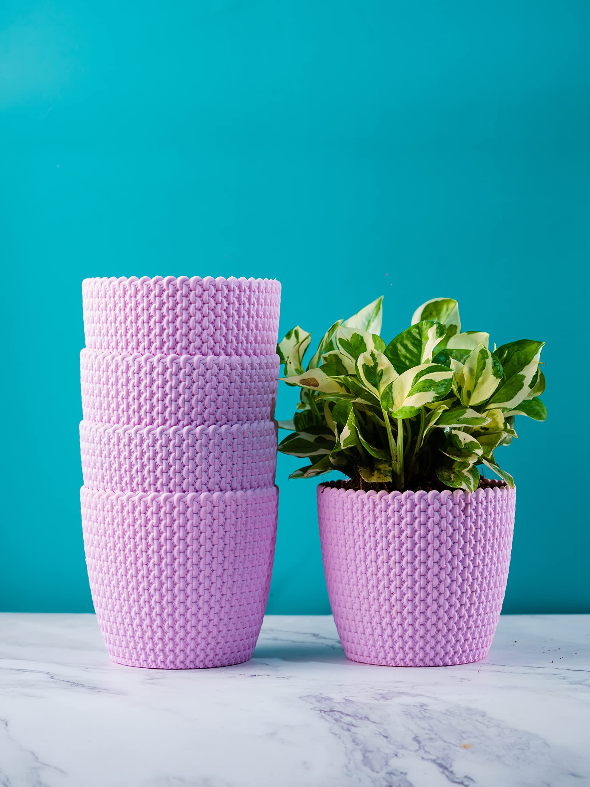 Nurturing Green® Combo of 5 Pink Plastic Planters for Indoor & Outdoor Use | Plastic Pot for Plants | Plant Pots for Home Decoration (5.5 Inch Wide*5 Inch High) (B09N7BQMPL) Amazon Price History, Amazon Price Tracker