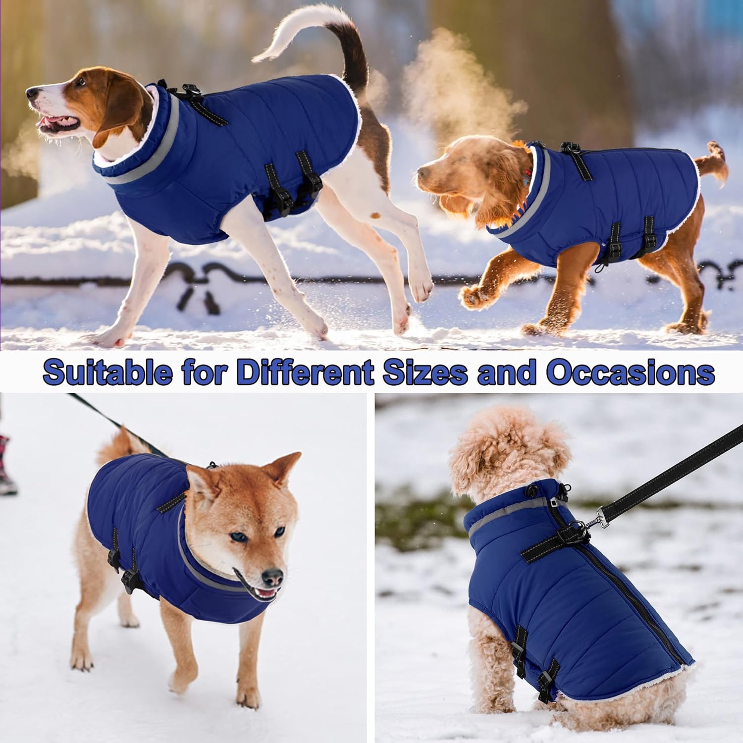 Dogcheer Dog Coat, Waterproof Dog Jacket with Harness, Reflective Adjustable Puppy Winter Coat with Zipper, Christmas Snow Jacket Clothes for Small Medium Large Dogs - Blue 2XL - Image 7