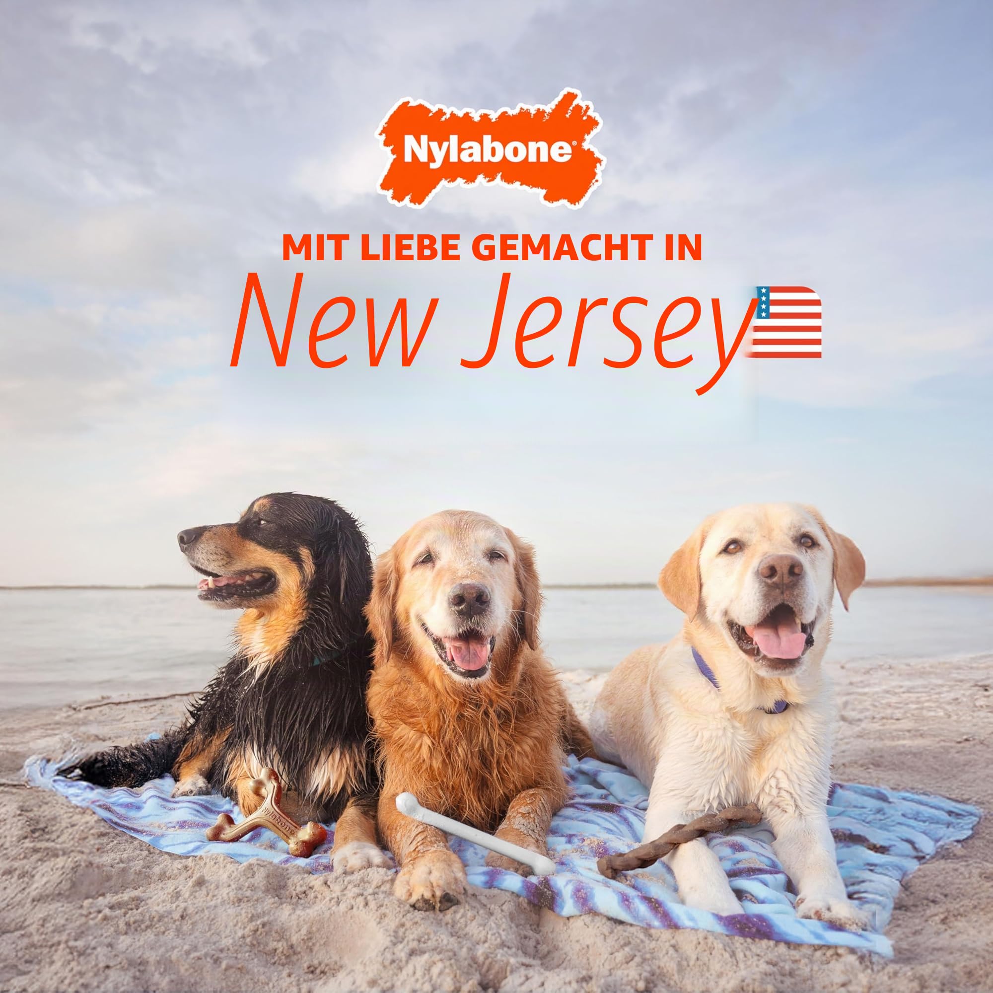 Nylabone Durable Power Dental Kauspielzeug für Hunde, Doppelpack, Rind Jerky & Huhngeschmack, groß, für Hunde bis zu 23 kg (2 Stück)