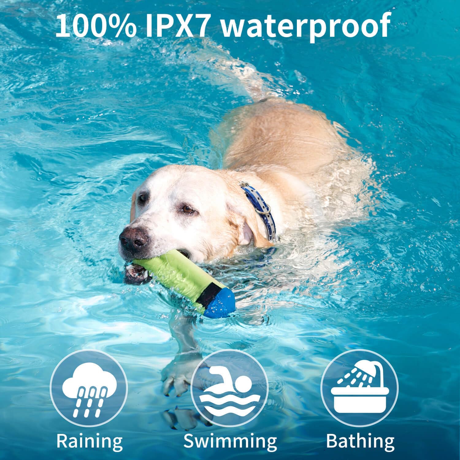 2024 New Pet Trainer Barking Stop Dog Trainer, IPX7 Waterproof Electric Vibrator Suitable for All Dogs, Supports Various Training Environments,B