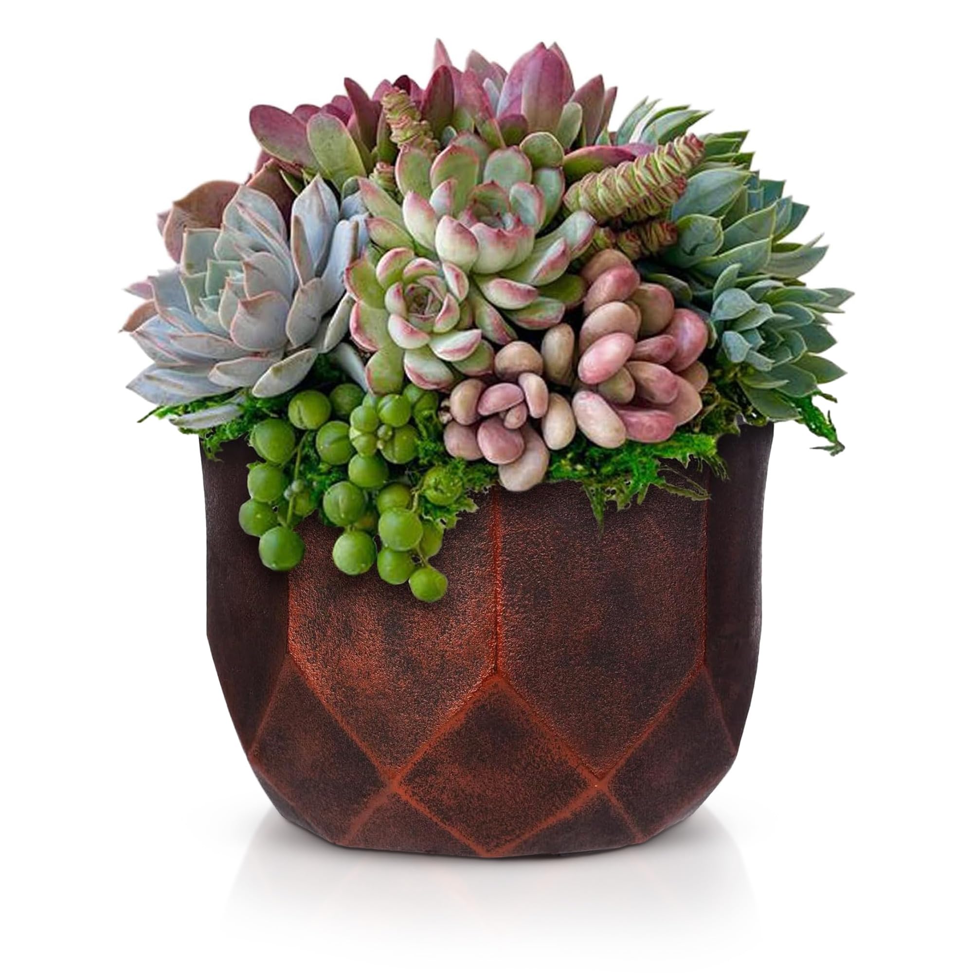 IDEALIST 7.5 Inch Faceted Bronze Reinforced Stone Bowl Planter | Bonsai Pot | Succulent Plant Pot D19 H17 cm, 4 litres