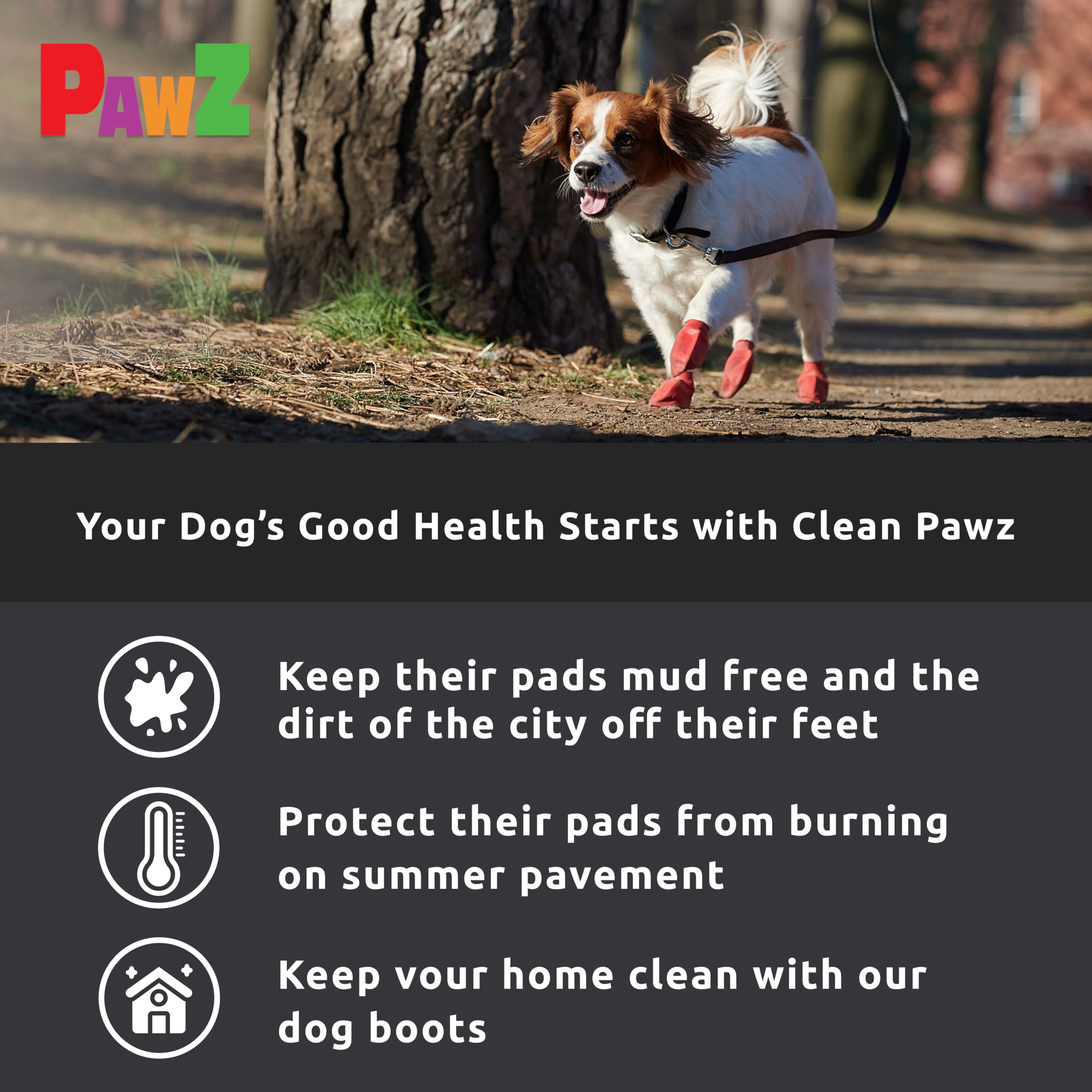 PAWZ Chaussette Noire Protection pour Coussinets de Chien S n°4 Boite de 12