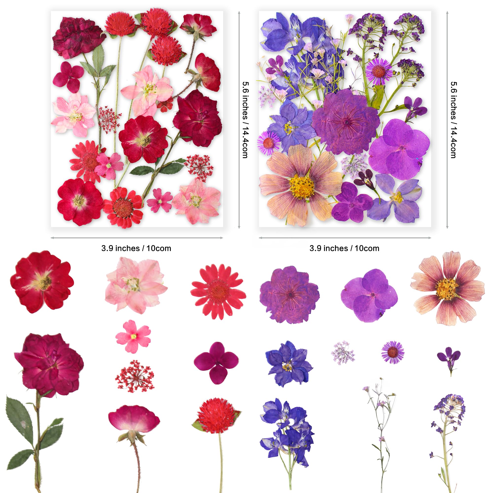 YoothBro 221PCS Real Nature Dried Pressed Flowers for Resin Mold Dry Pressing Floral with Butterfly Transparent Stickers Set for DIY Jewelry Making Nail Card Scrapbook Art Craft Eternity Summer - Image 3