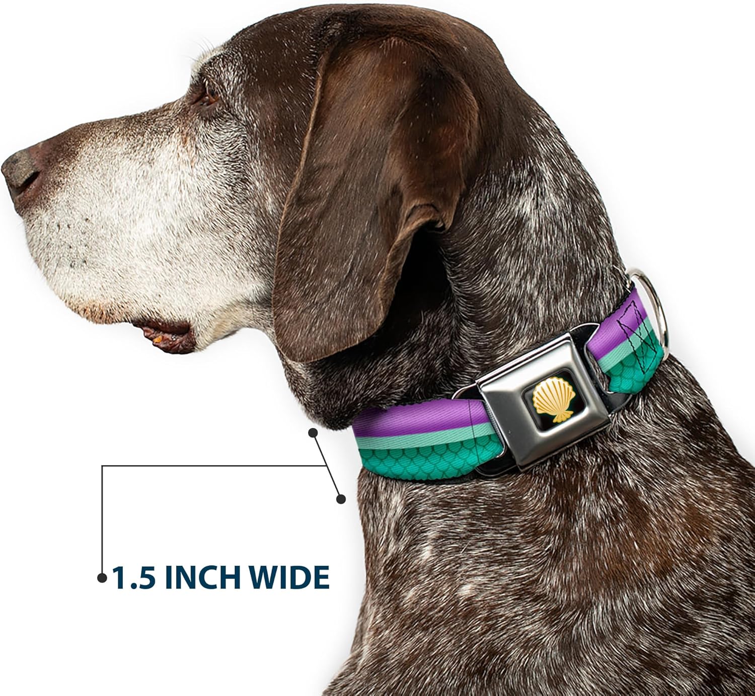 Dog Collar Seatbelt Buckle Little Mermaid Stripe Shell Purple Green Gold 9 to 15 Inches 1.0 Inch Wide, DC-WDY229-S