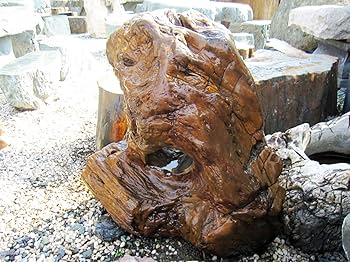 化石木 景石 庭石 大型石 まとめ売り 化石木 景石 庭石 大型石 まとめ売り 庭・ガーデニングの庭石の