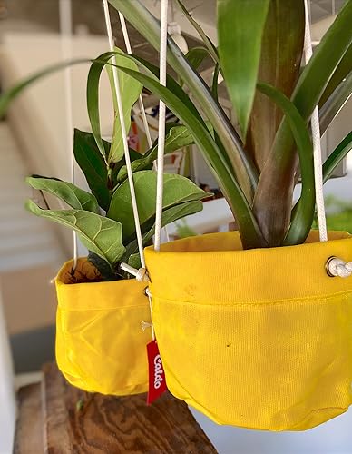 Miniatura 5 de Caldo Dos perchas para plantas, perfectas para decoración de interiores o exteriores (amarillo)