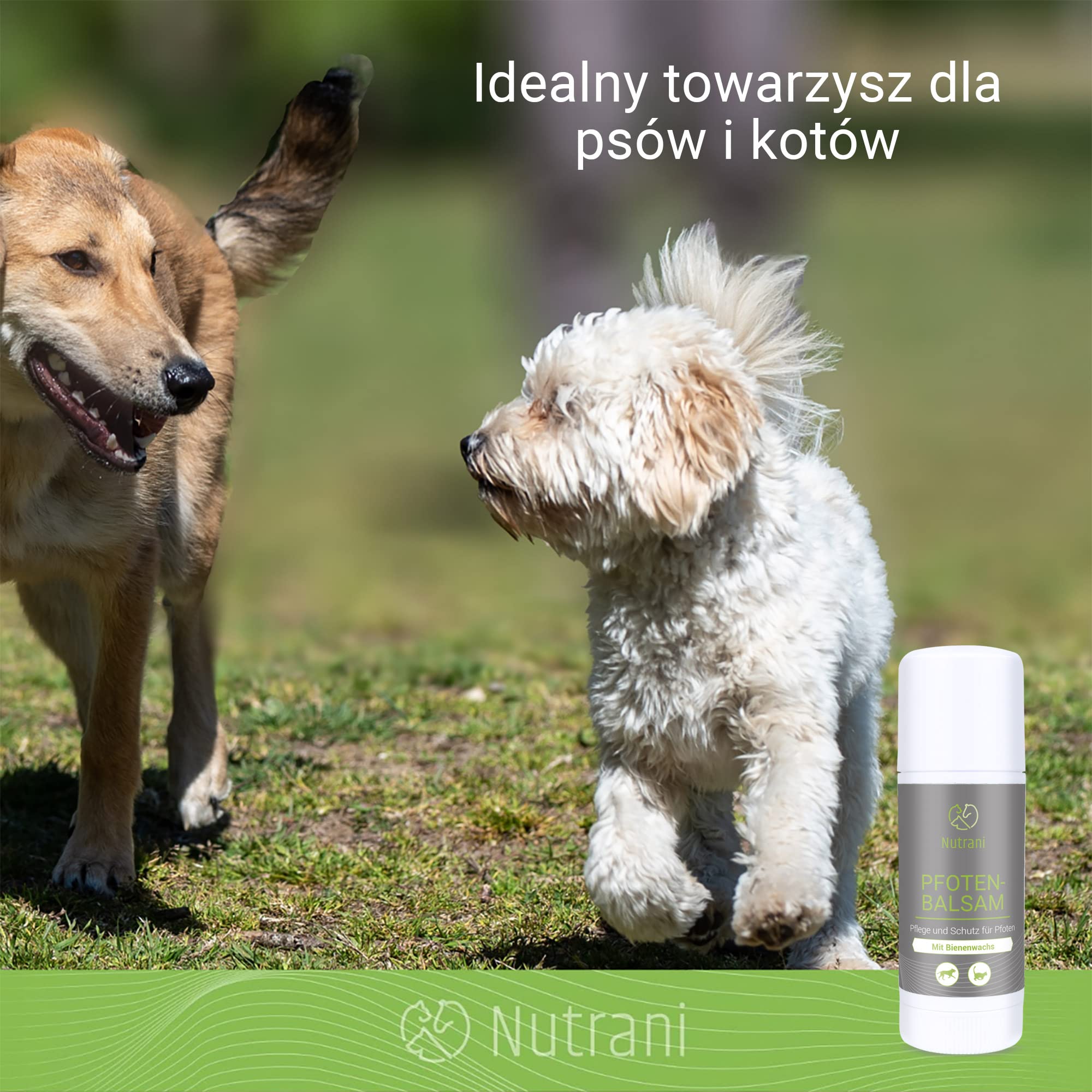 Balsam do łap z woskiem pszczelim dla psów i kotów | 40 ml – 100% naturalny balsam nadaje się do pielęgnacji łap i ochrony łap Wykonano w Niemczech