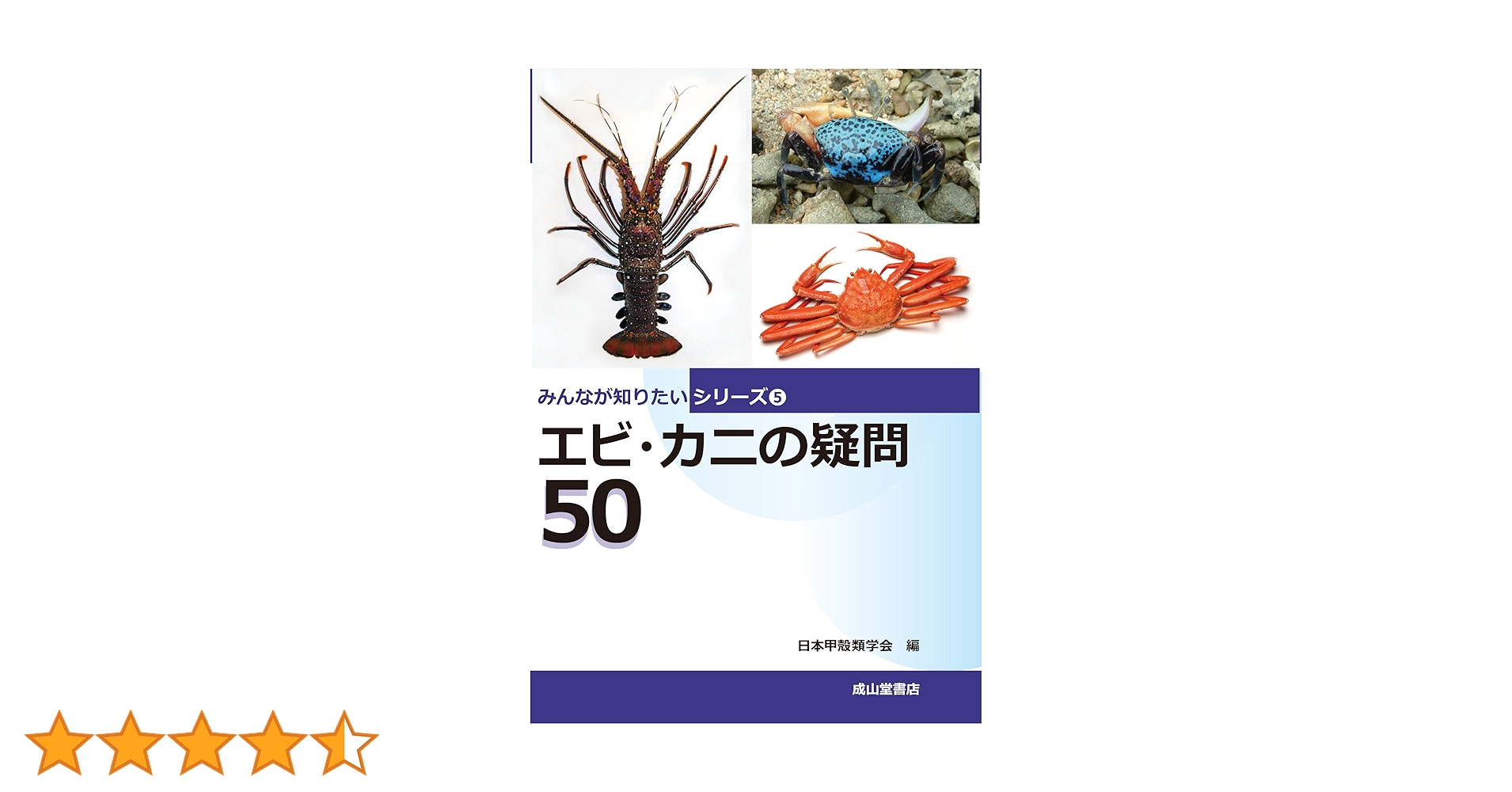 81M6xfyeafL.jpg_BO30,255,255,