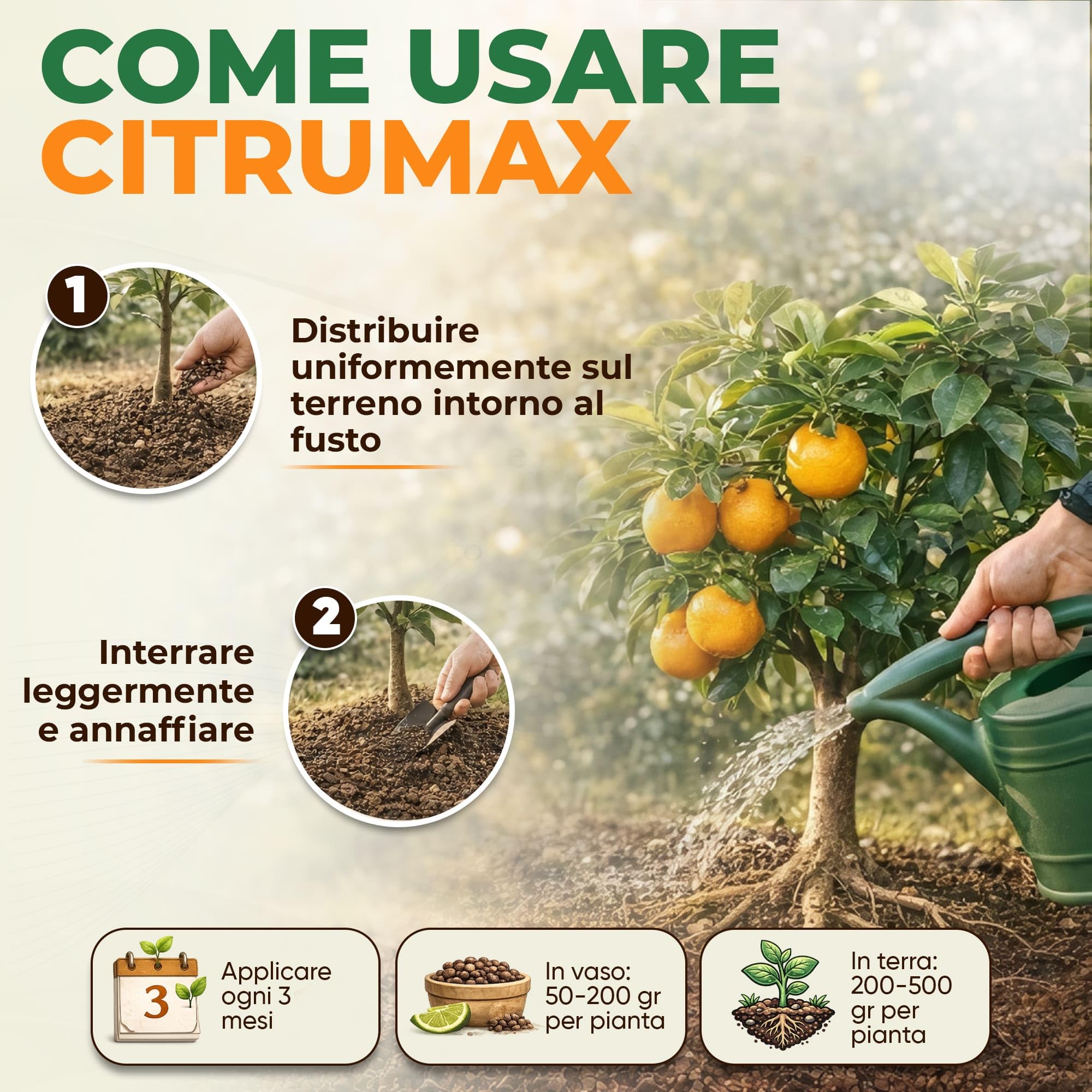 CITRUMAX Agrumes BIO engrais N-P-K granulaire 4-6-10 azote + phosphore + potassium + fer + magnésium + calcium (Limoni-Mandarini-orange--Kumquat) Culture biologique de haute qualité (3,5 kg)