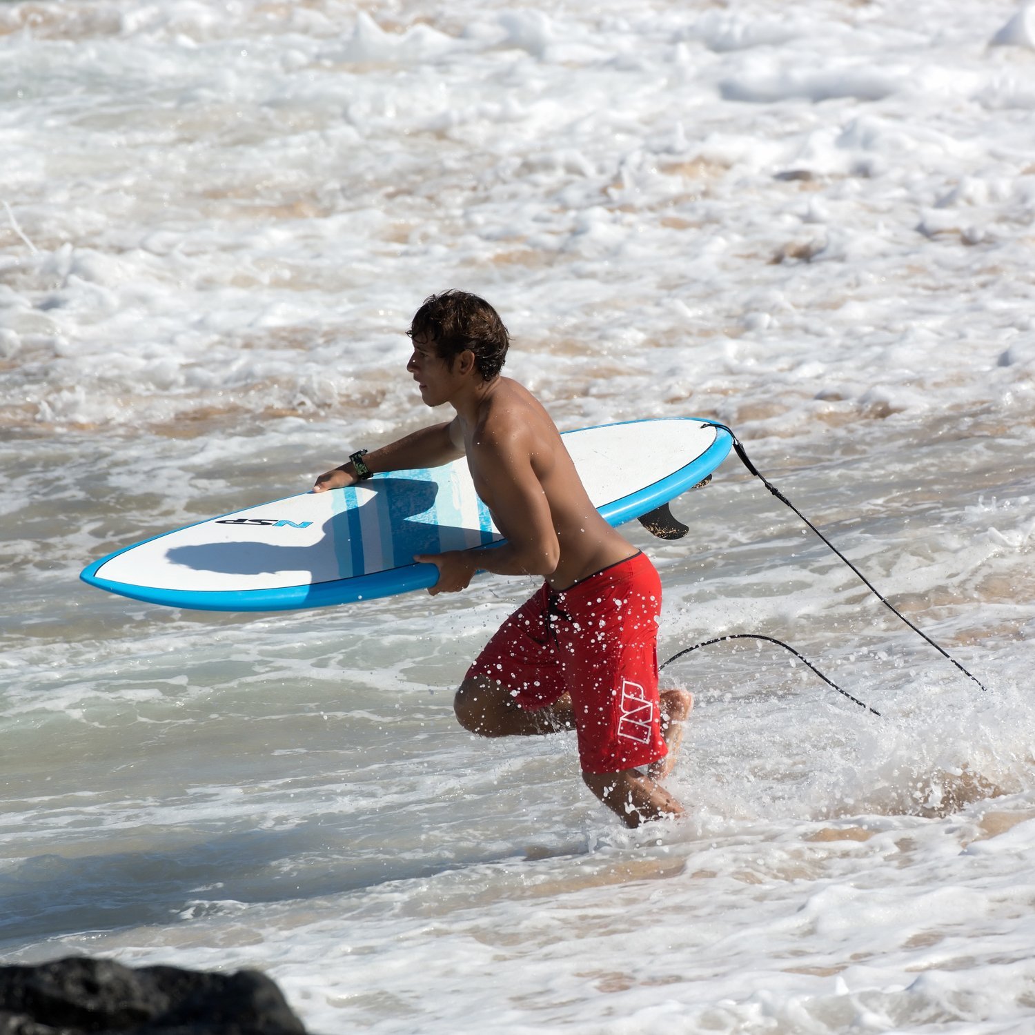 Amazon | NSP 2016 SURFBOARD Elements FUNBOARD 6'8