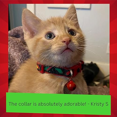 Miniatura 5 de Pepper Cat Collar - Safety - Breakaway - Charm and Bell - Pugs2Persians (Large(10lbs & Up), Orange)