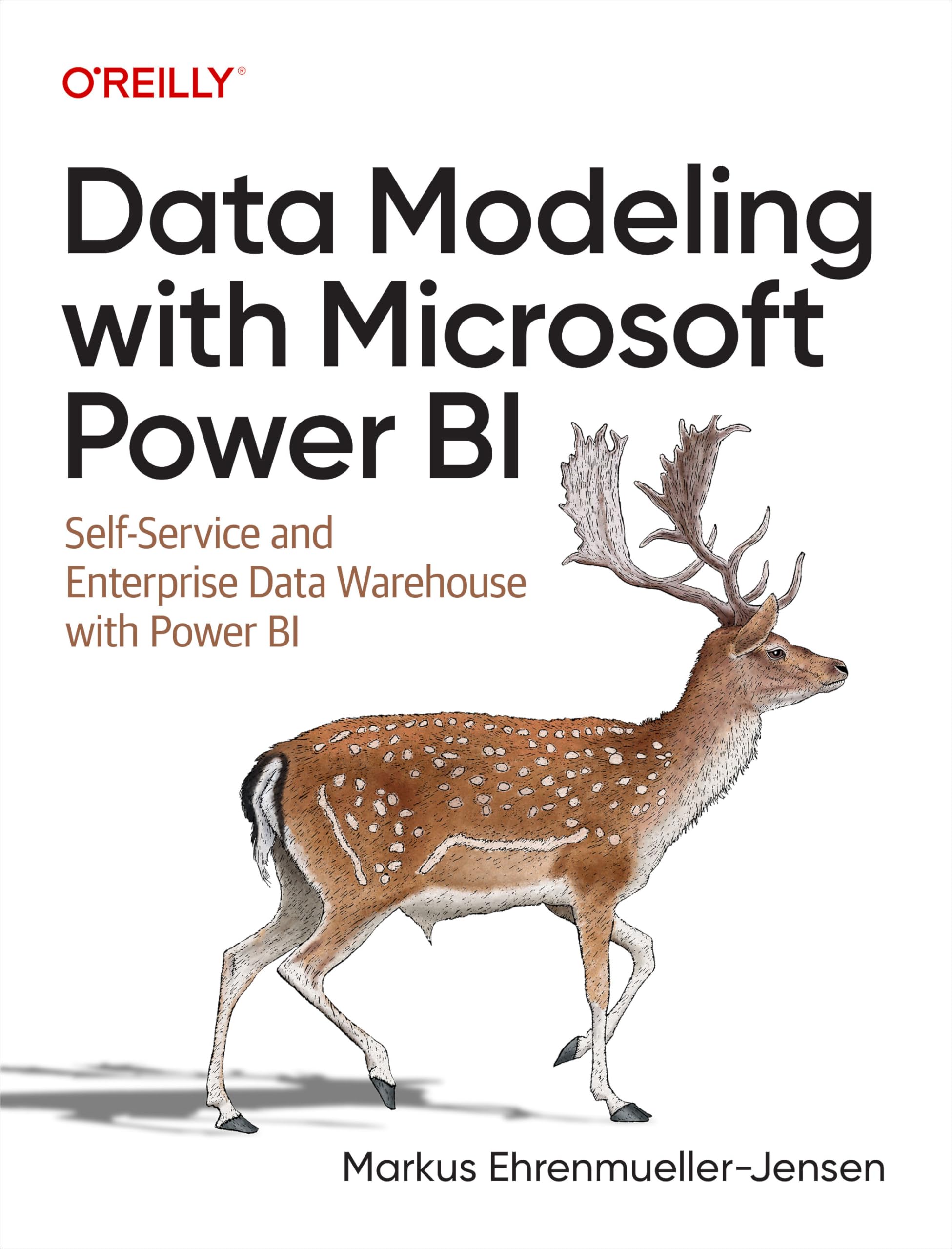 Data Modeling with Microsoft Power BI: Self-Service and Enterprise Data Warehouse with Power BI (English Edition)