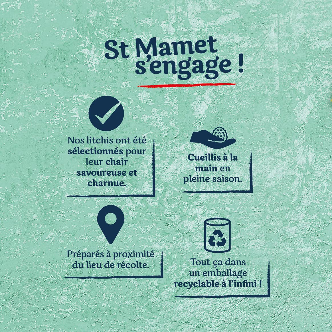 St MAMET les Vergers Litchi dénoyauté St Mamet 565 g - Lot de 12
