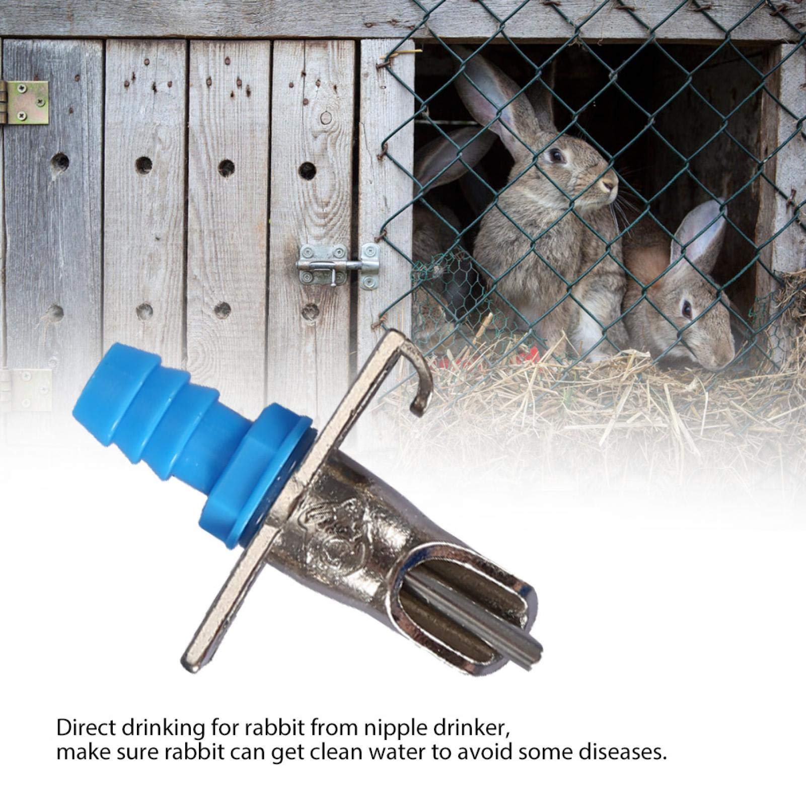 Biberon Abreuvoir Automatique à Tétine Pour Rongeurs (lapin, Rat) - 40cm