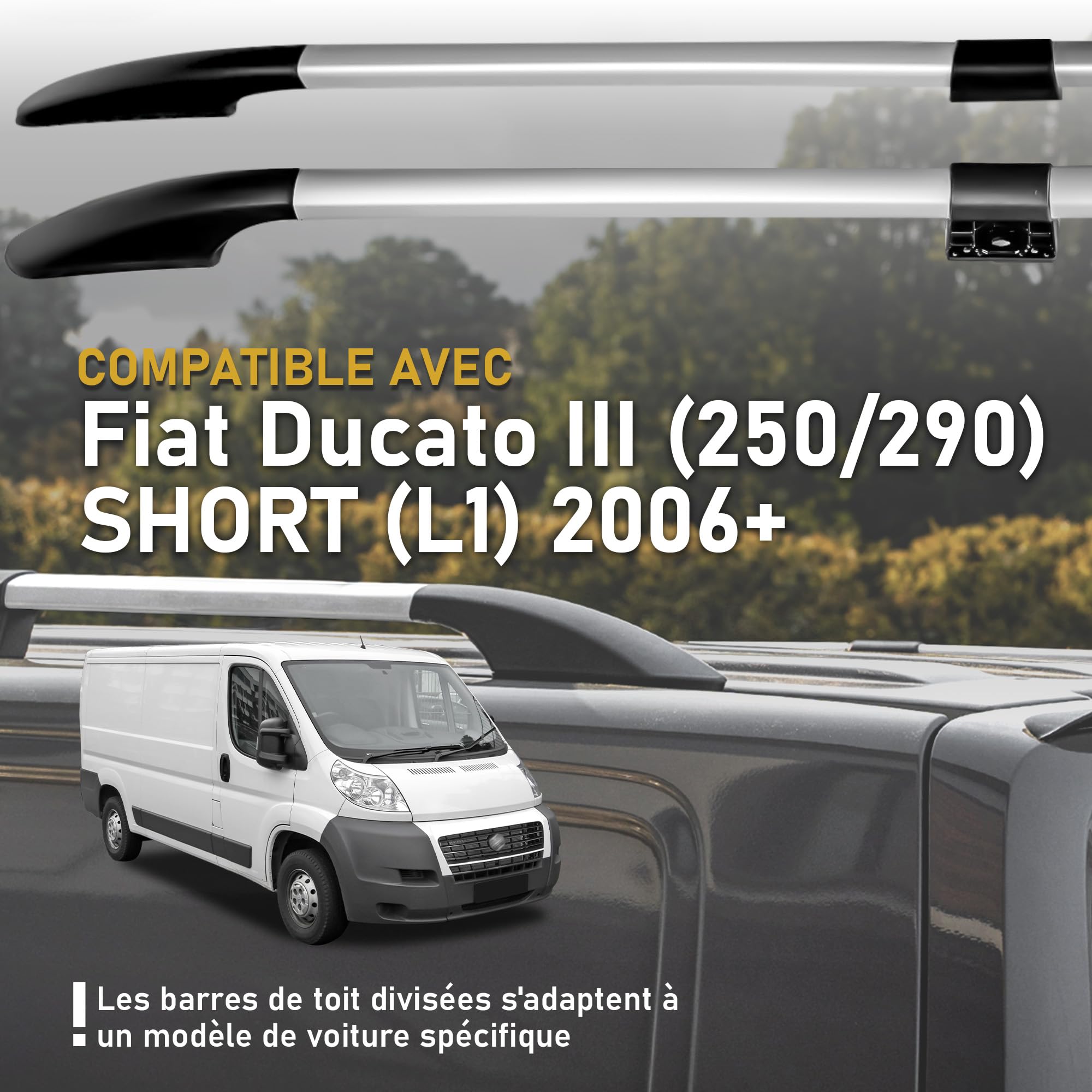 CHROMEMASTER | Les Barres de Toit Compatible avec Fiat Ducato L1 Court 2006+ ; Rails de Toit Conçus pour Le Montage de Barres de Toit, de Coffres de Toit, de Porte-vélos | Aluminium Durable