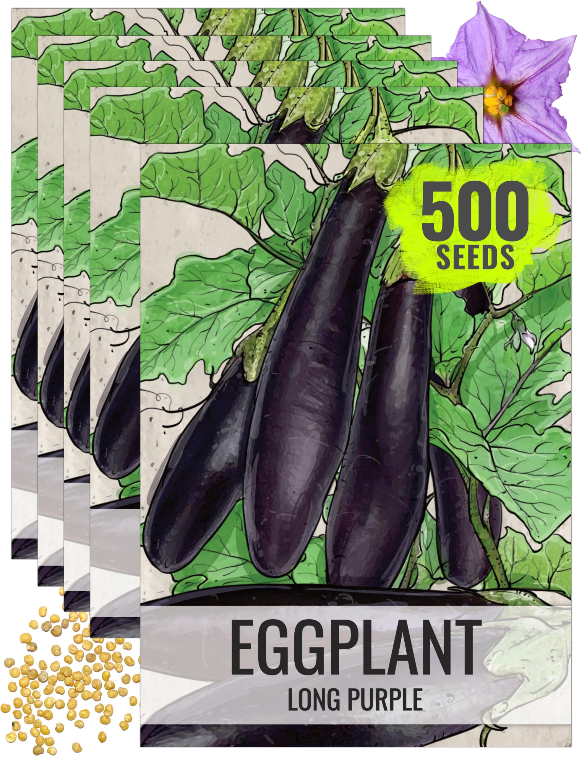 Seed Needs Eggplant Seeds for Planting Long Purple Eggplants