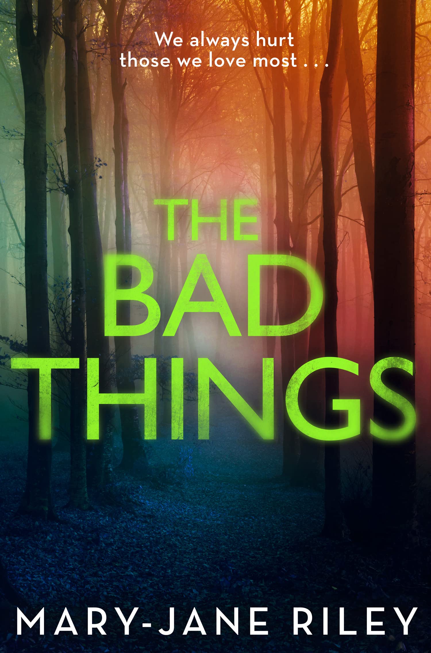 The Bad Things, Fiction – Crime and , Paperback, Mary-Jane Riley