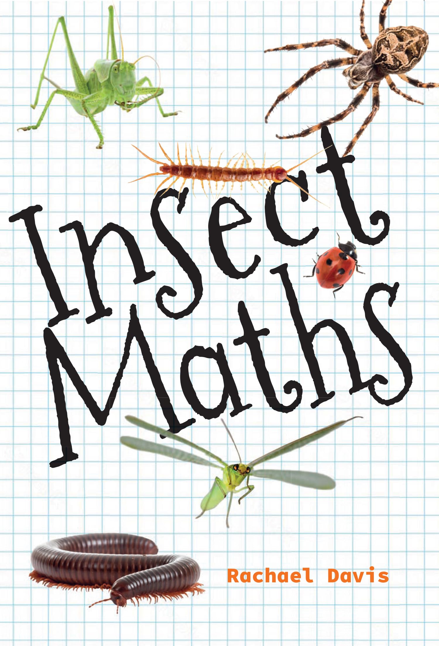 Big Cat for Little Wandle Fluency  Insect Maths by Rachael Davis PAPERBACK