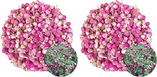TooGet Dried Flowers Gomphrena globosa Flower, Natural Globe Amaranth Flower Wholesale Best for Flower DIY, Sachets, Wedding Party Decoration, Potpourri, All Kinds of Crafts - 4 OZ (Pack of 2)