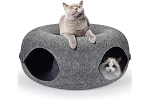 Cattasaurus Peekaboo Cat Cave: A Cozy Oasis for Multiple Felines