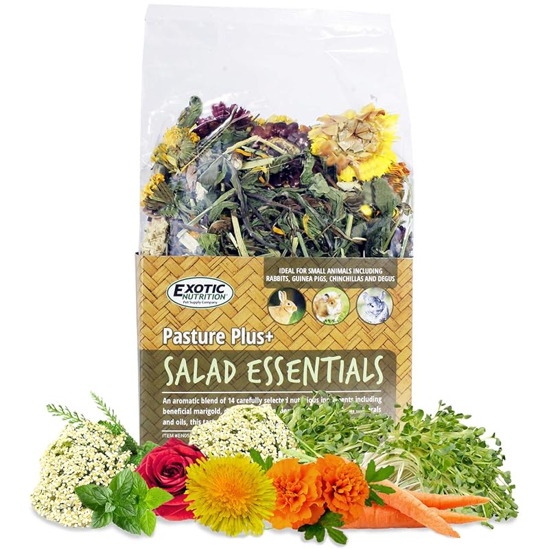 Petisco de Fibras para Pequenos Animais Pasture Plus+ Salad Essentials Exotic Nutrition Sabor Cenoura