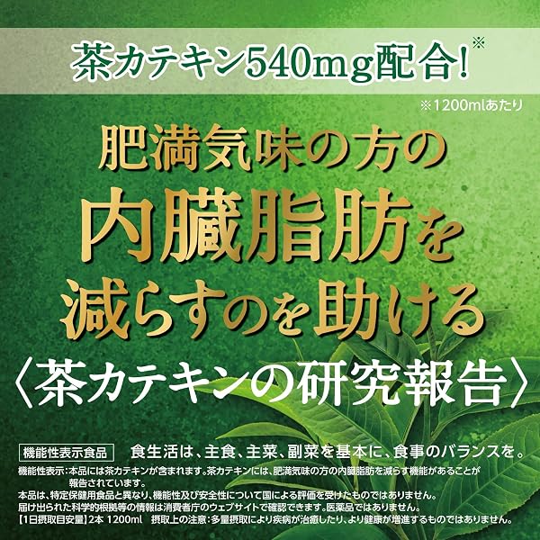 [機能性表示食品] サントリー 伊右衛門 濃い味 ラベルレス 緑茶 600ml×24本 - 3