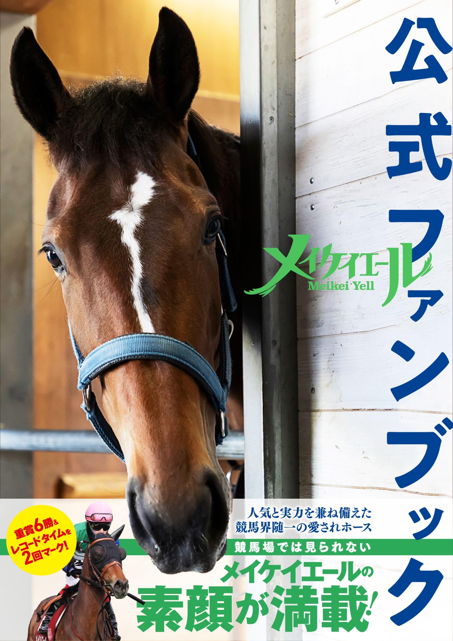 メイケイエール　ブルゾン　受注生産　競馬 81M7okDGxiL.jpg