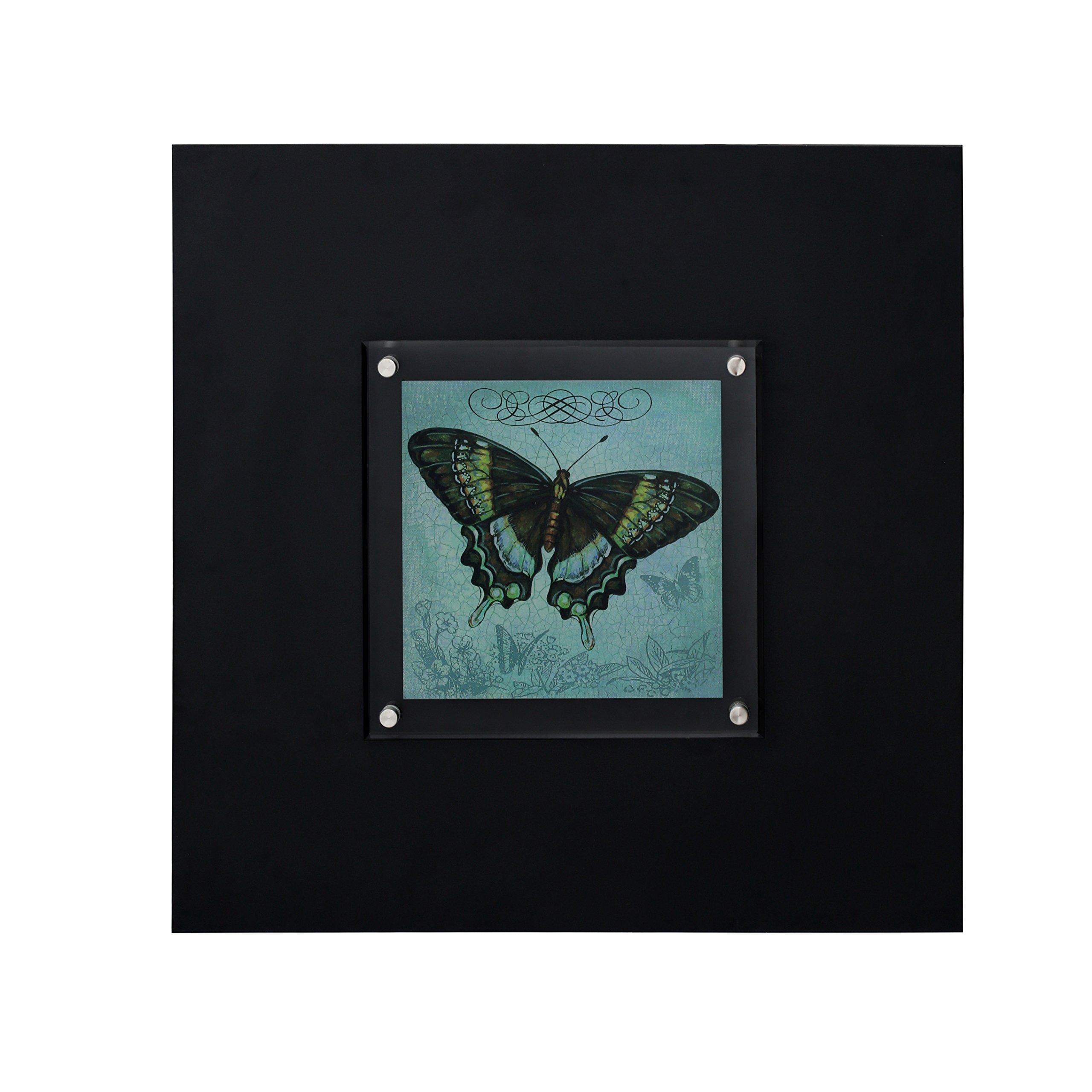 Premier Housewares Butterfly 2 Framed Wall Art - Black Background - Nature Illustration - Home Decor