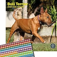 Baker and Bray Bull Terrier Calendar 2026, Large Square Wall Calendar With Organisational Stickers, 16 Month, Bull Terrier Gift Dog Calendar
