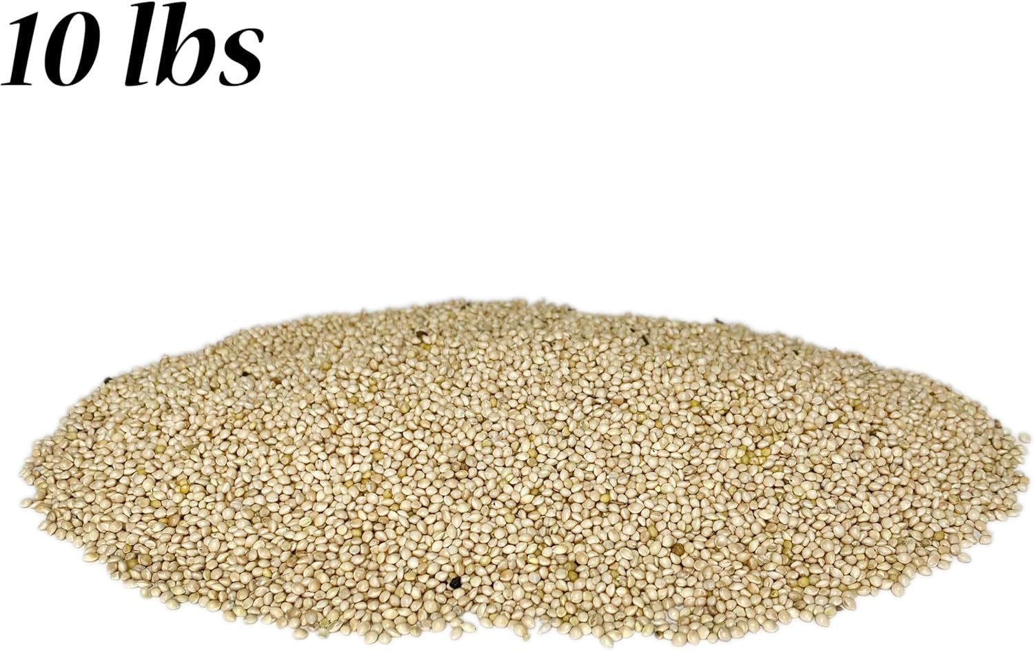 BestNest White Millet, 10 lbs.