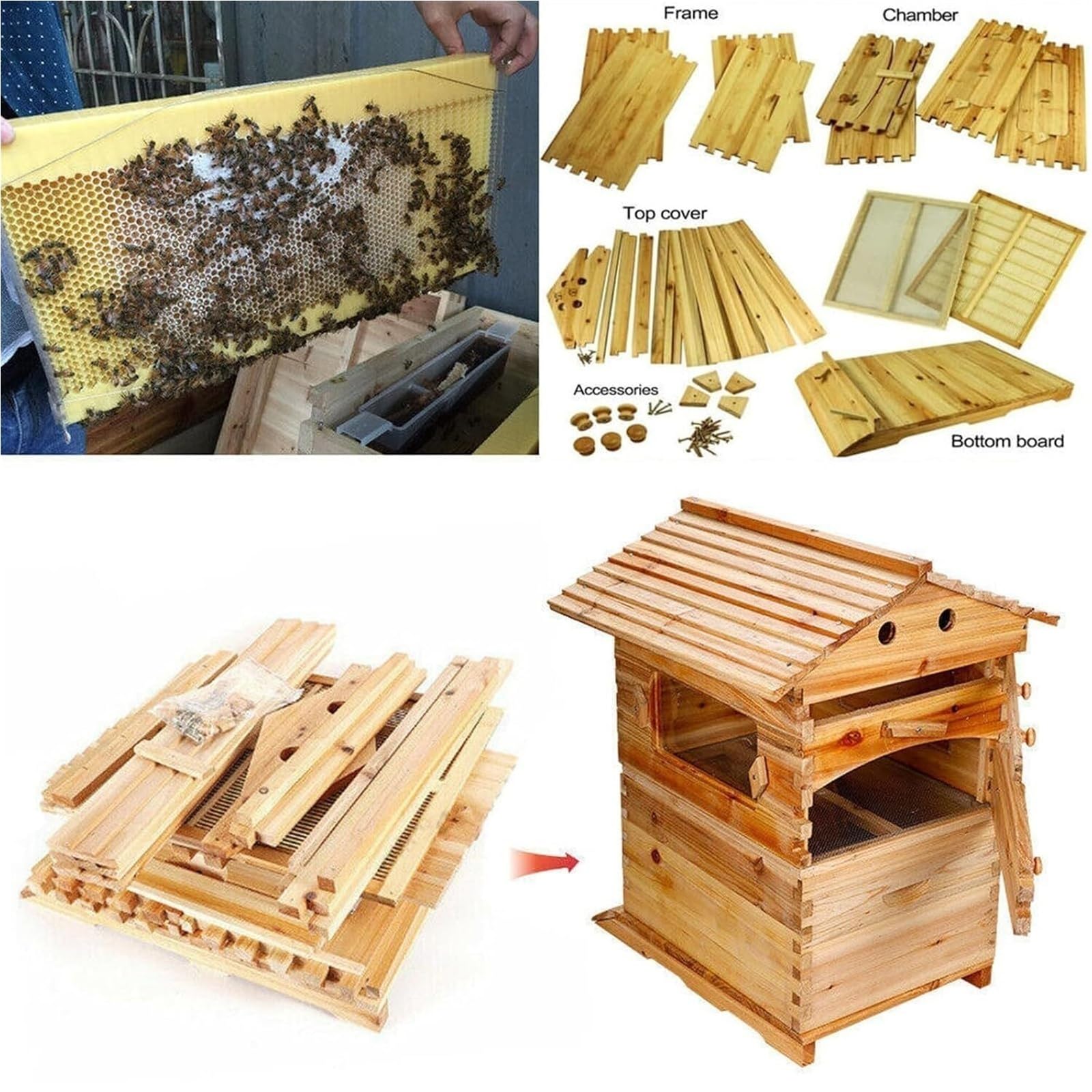 Beehive Starter Kit - Casetta automatica in legno per alveare con telaio per apicoltura, include 7 pettini rivestiti in cera e forniture essenziali