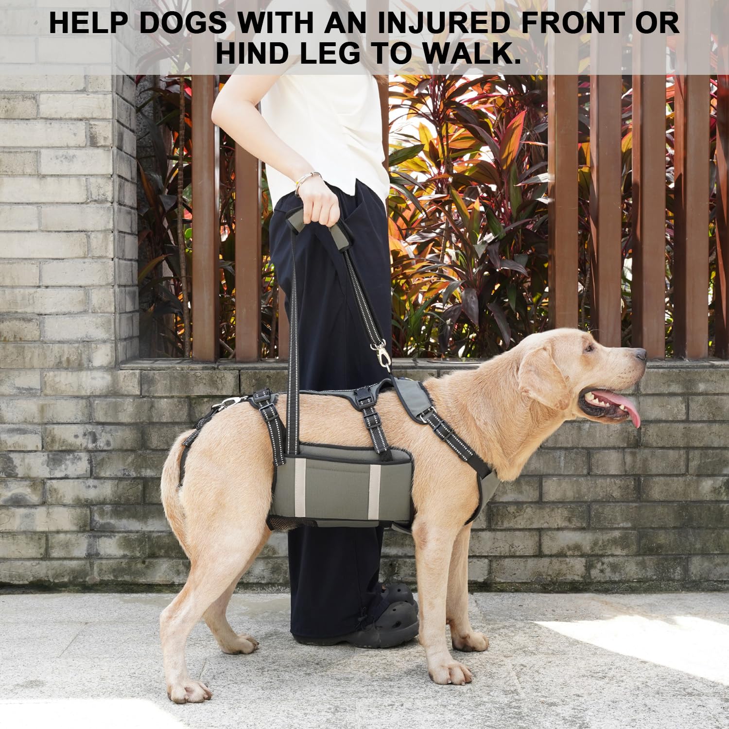 COODEO Harnais de Transport d'urgence pour Chien, Support de Jambe arrière pour Animal Domestique, Gilet de rééducation, Transport pour Chiens âgés, blessures articulaires, arthrite(Vert,L)