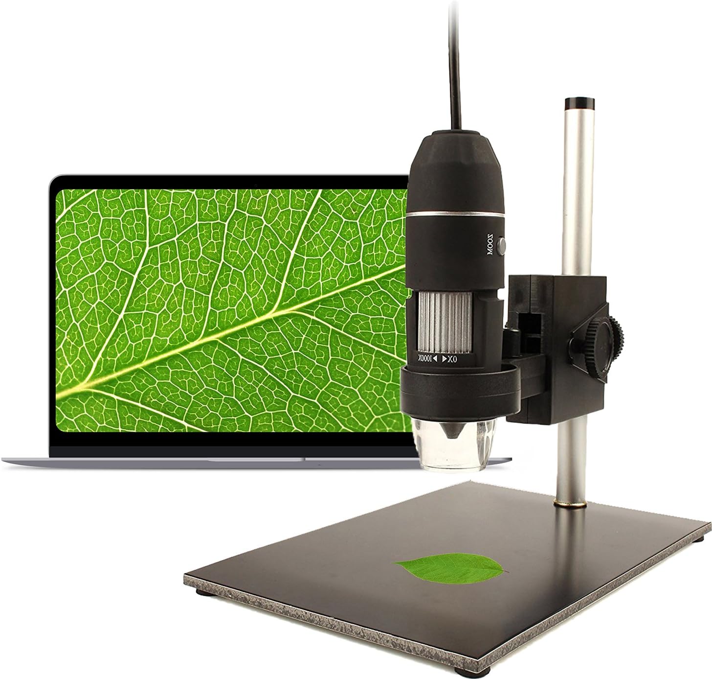 halomy USB Microscope 1000x Magnification Digital Microscope Endoscope with Built-in 8 LED and Adjustable Stand for Windows XP/Win 7/Win 8/Vista